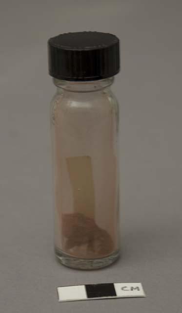 Sample of ground red rock - used as pigment for cosmetic, mixed with grease;