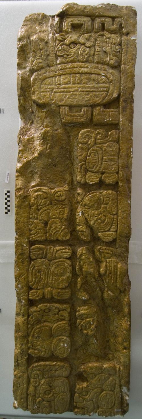 Cast of part of Stela P, north, top