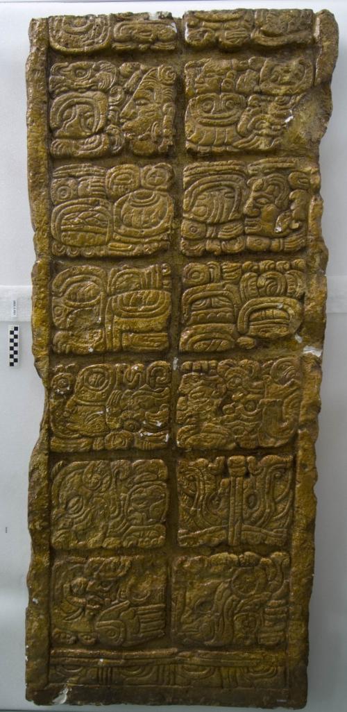 Cast of part of Stela P; east, bottom