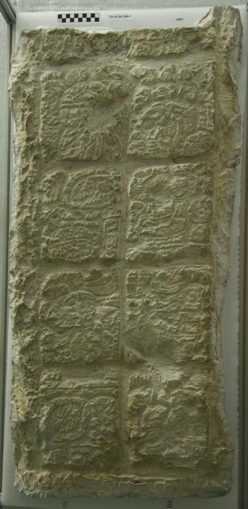 Cast of part of Stela 7, south bottom