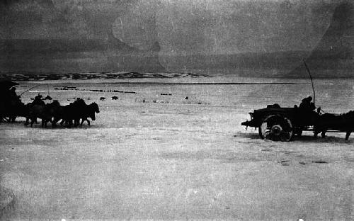 Two horse-drawn wagons in snow