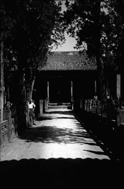 Stone path with carved lion stone fence on each side, leading to building