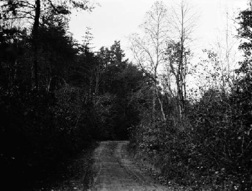 Monacan site on right bank of James River at Hugnenot Springs