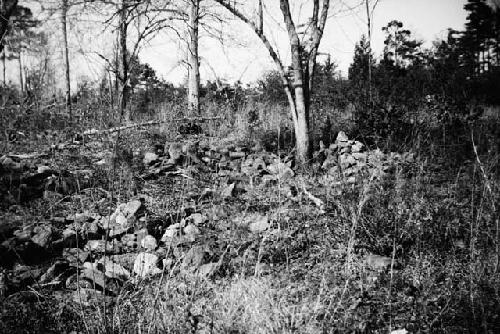 Ridge short distance south of Damon, site of soapstone pits