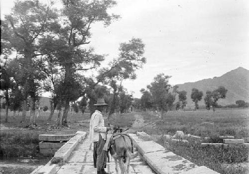 Man traveling by donkey