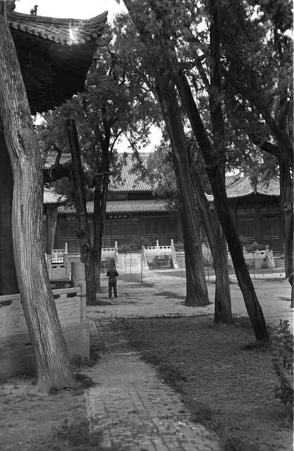 Avenue, Confucian temple