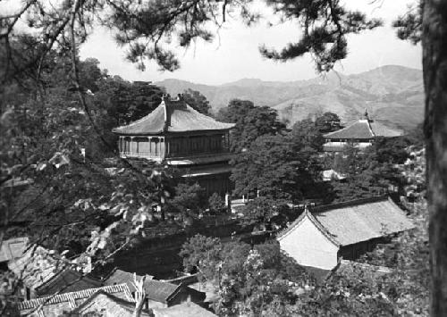 Main buildings, Chieh T'ai Ssu, from under tree, slightly different view