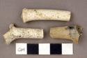 Ceramic, pipe stem, fragments, intact elbow, white