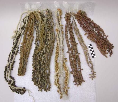 Seed and bead necklace