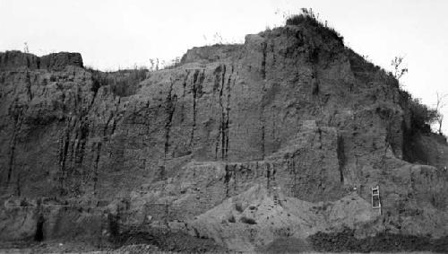 Cutting by brickyard workmen and erosion, Mound E-III-3; east side