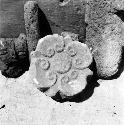 Sculptured rosette in office of Garcia Payon, Jalapa