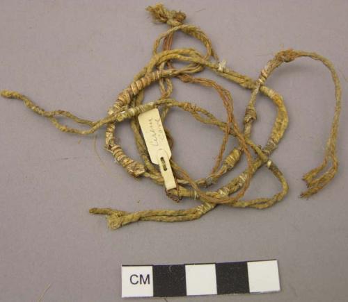 Cordage fragment