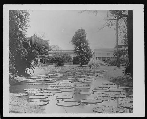 Water in front of two buildings