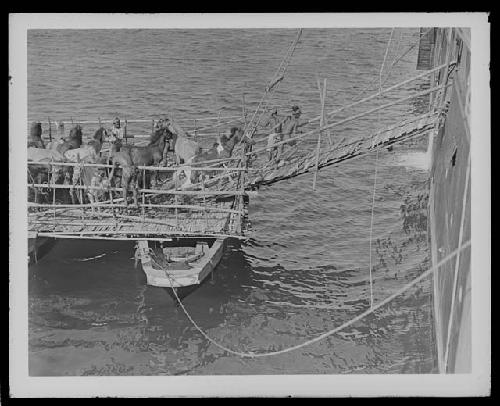 Men and animals crossing causeway