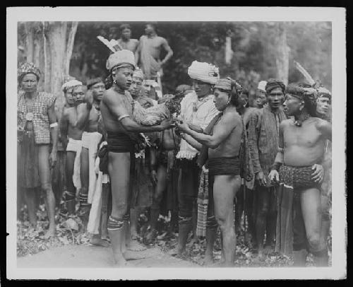 Men inspecting rooster