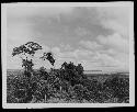 Rural Landscape