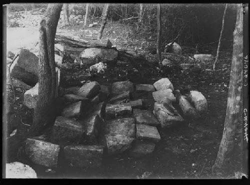 NE Colonnade, Platform in bush just to E. of the colonnade looking W. (?)