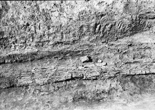 Pit 4 detail of wooden beams, cowbell and spindle whorl