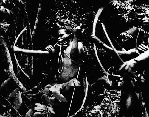 Bambuti tribe - pygmies, hunting