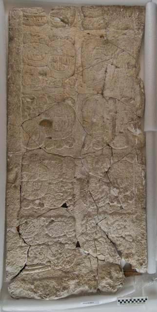 Cast of part of Stela J, North Top