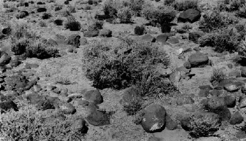 Rock circle, Site 12, Torrey