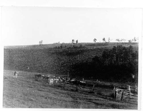 Photo of The Willows Springs Corral