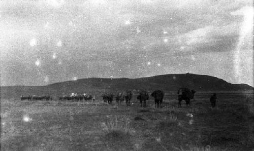 View from a distance of camel caravan