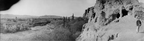 Landscape with trees and bushes