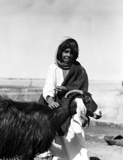 Shammar Bedouin boy and goat at Jumaima