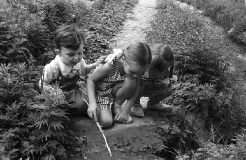 Yutaoho, Shansi, June 1935, David, Anne, and Clare Bingham, kneeling