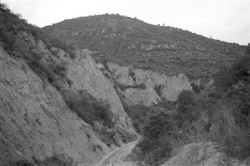 Road through steep hills, trees in foreground