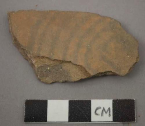 Ceramic sherd