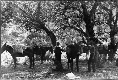 Camp at mouth of Chandler Creek