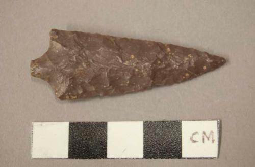 Leaf-shaped point, double notched base