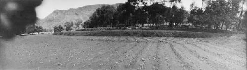 Panoramic photograph of field