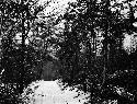 Road leading west from the Old Lynchburg Road