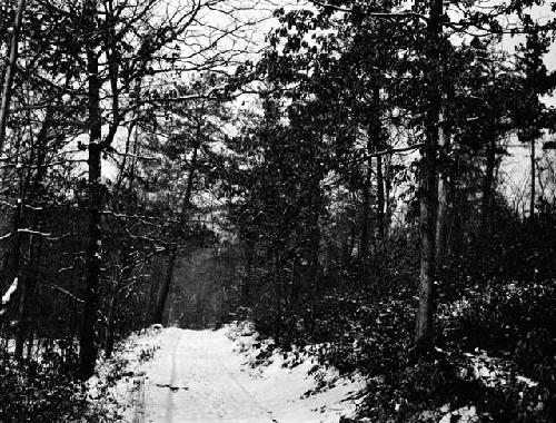 Road leading west from the Old Lynchburg Road