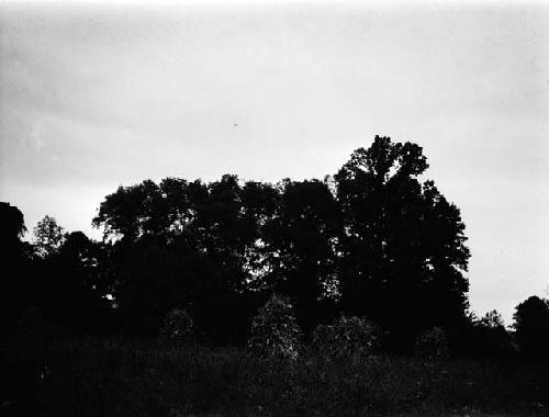 Mound on Rapidan - Colvin Site. Manahoac Village of Stegara