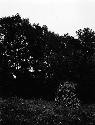 Mound on Rapidan - Colvin Site. Manahoac Village of Stegara