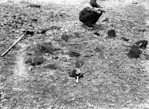 Unit 5 -- Before excavation looking North