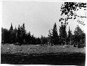 Photo of Cottonwood to "The Willows" Springs Trail