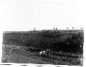 Photo of Drawing Horses Into Corral "The Willows" Springs