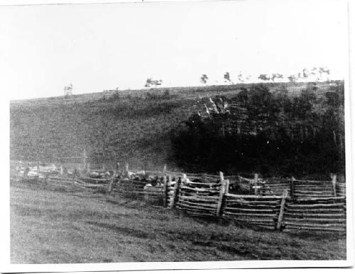 Photo of The Willows Springs Corral