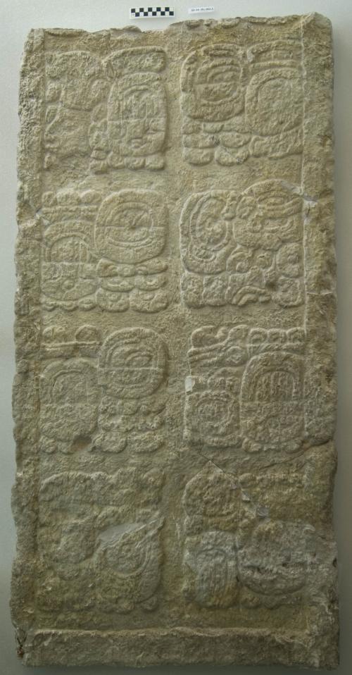 Cast of part of Stela J, north bottom