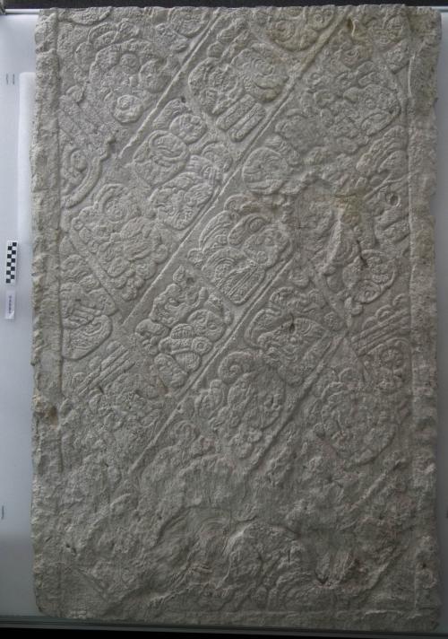 Cast of part of Stela J, east bottom