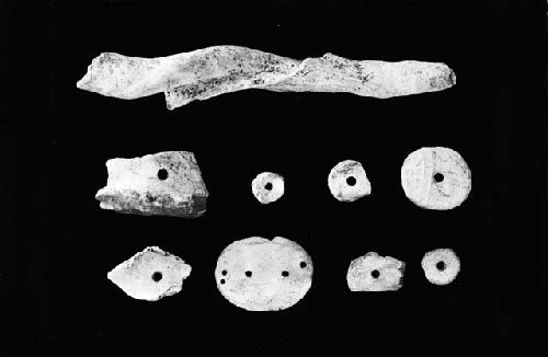 Shell Objects and Antler Object from the Site near Kimmswick