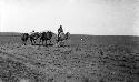 Arash and camels on great caravan road