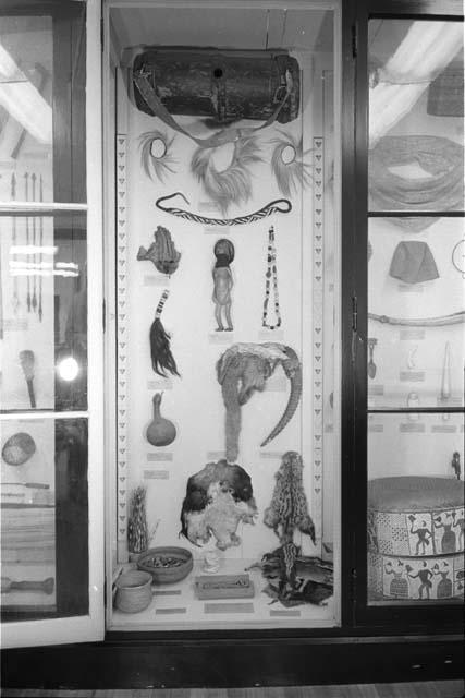 Case in the African Hall of the Peabody Museum