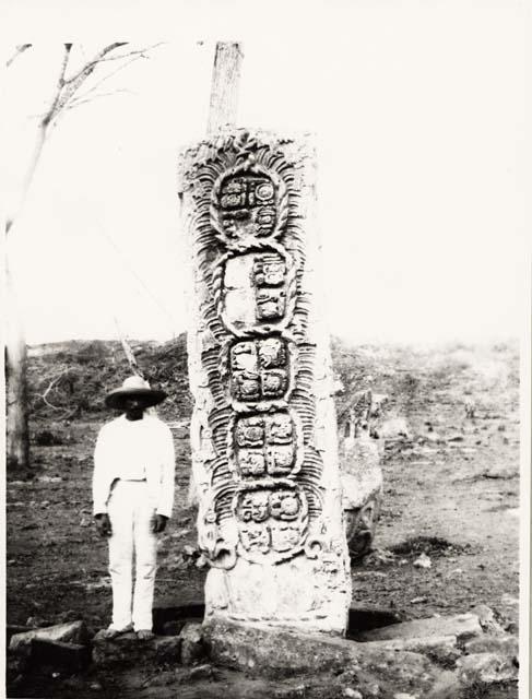 Stela F, back view