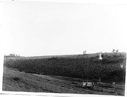 Photo of Corral At "The Willows" Springs